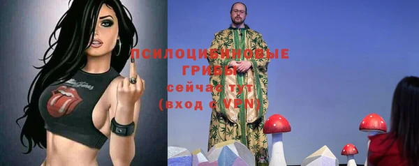 Альфа ПВП Туринск
