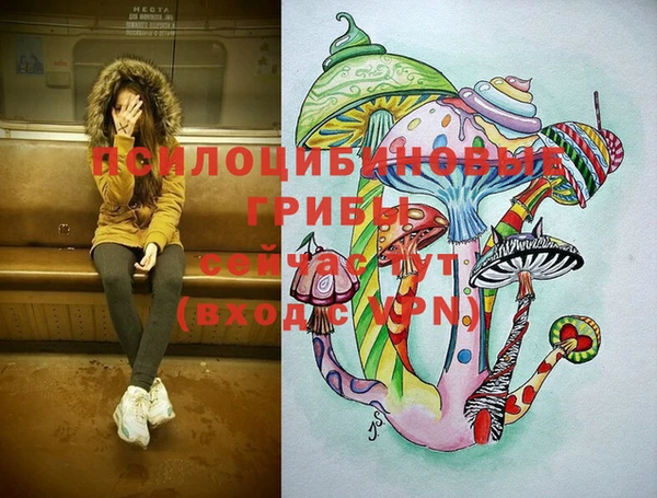 крисы Тутаев