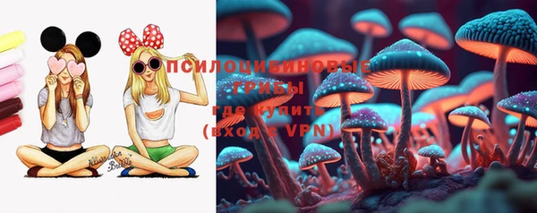 крисы Тутаев