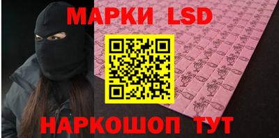 spice Бердск