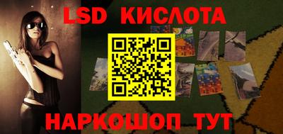 spice Бердск