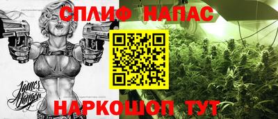 spice Бердск