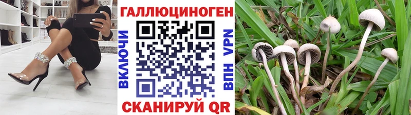 MEGA вход  Бирск  Галлюциногенные грибы мицелий 