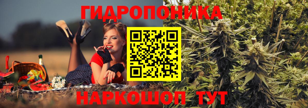 Каннабис сатива Бирск